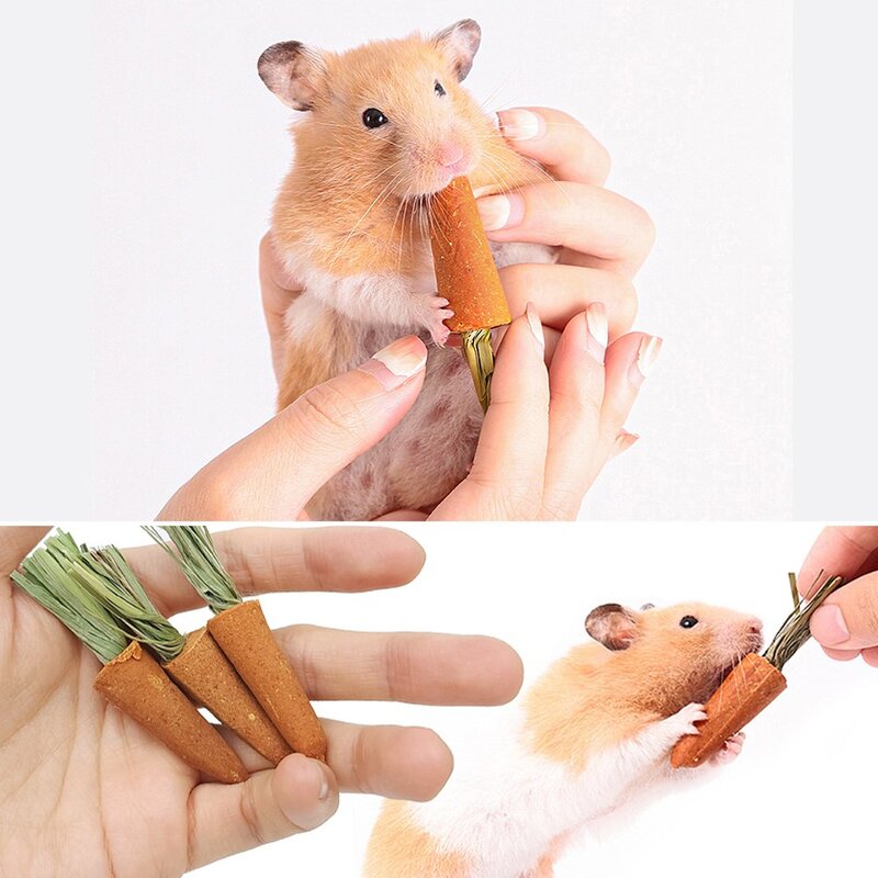 햄스터 당근이갈이, 9개
