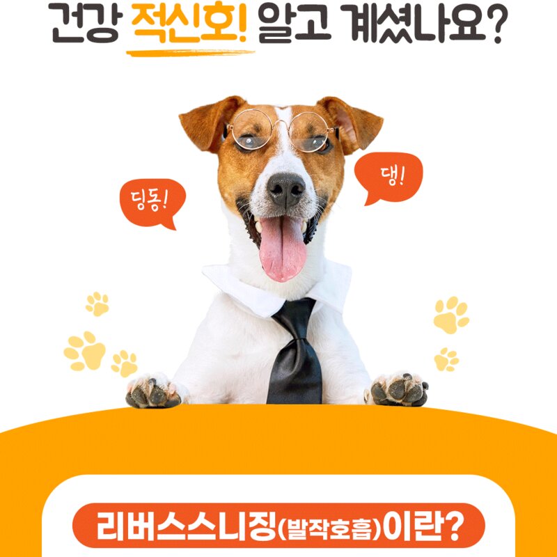 강아지 기관지 협착증 호흡기 영양제 대용량 펠렛 메이제이, 1박스