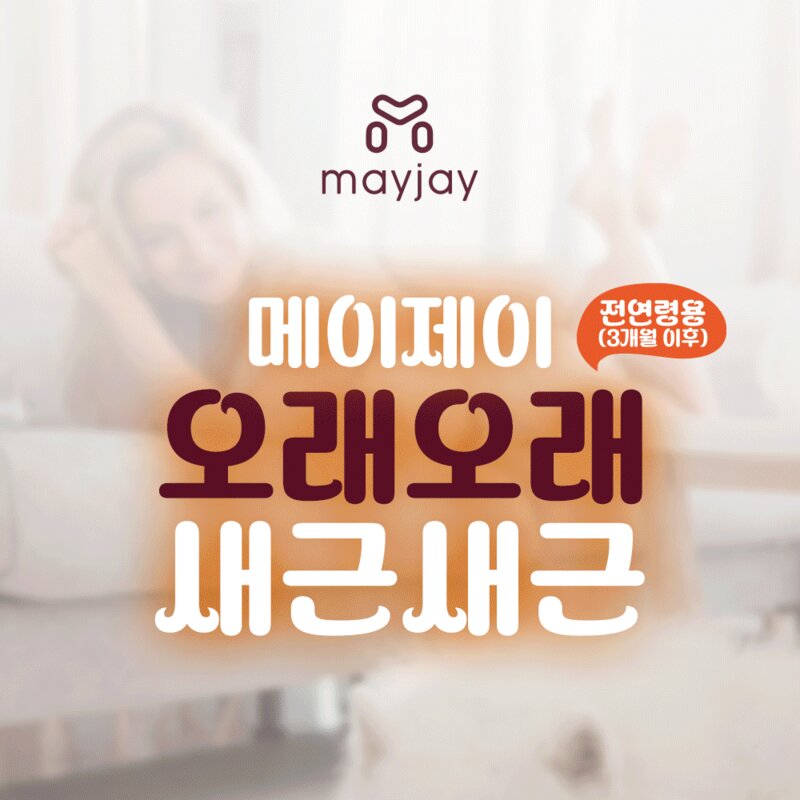 강아지 기관지 협착증 호흡기 영양제 대용량 펠렛 메이제이, 1박스