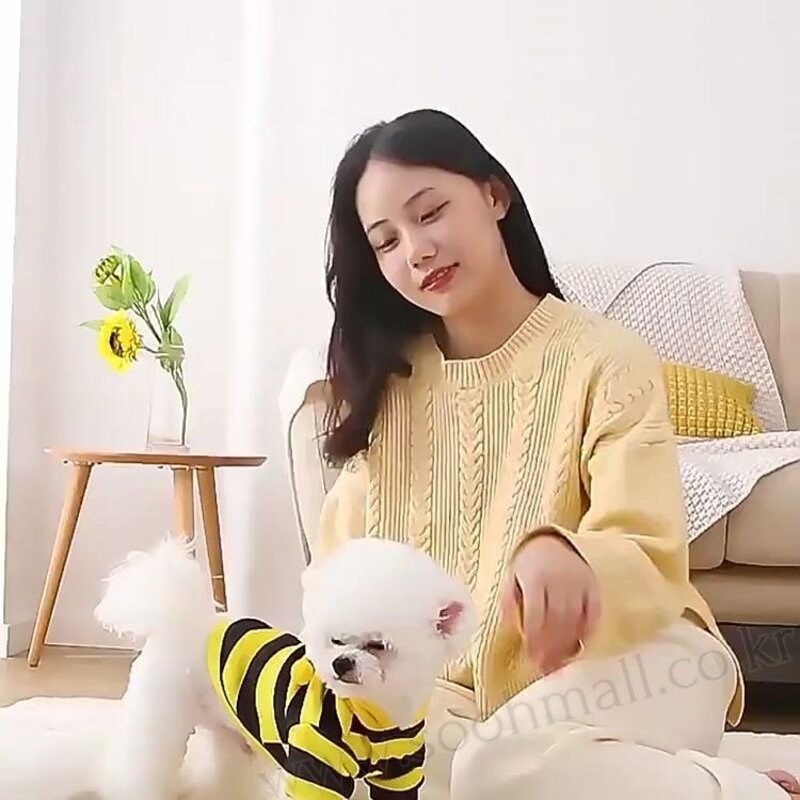 Lim401 강아지 고양이 꿀벌옷 후드티 하네스, 1개