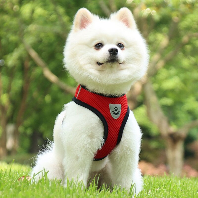 데일리퍼블릭 산책 조끼 강아지 하네스 리드줄 포함, 블루, 1개