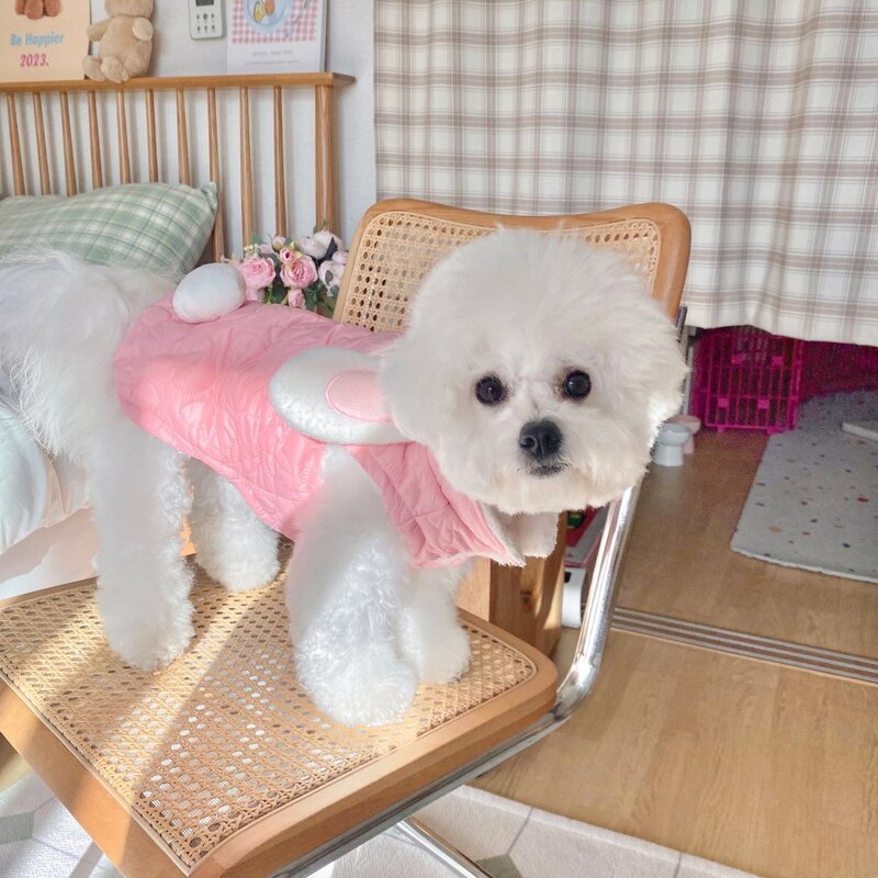 토끼 강아지겨울옷 강아지 패딩 조끼 방한복, 퍼플, 1개