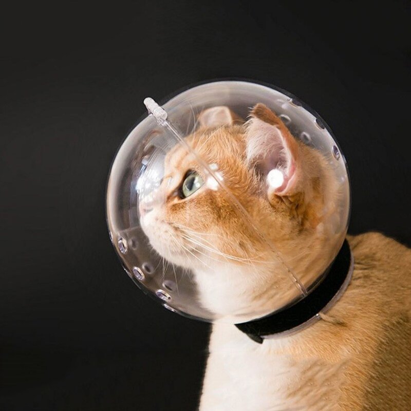 가또나인 고양이 우주 헬멧 입마개, L, 1개