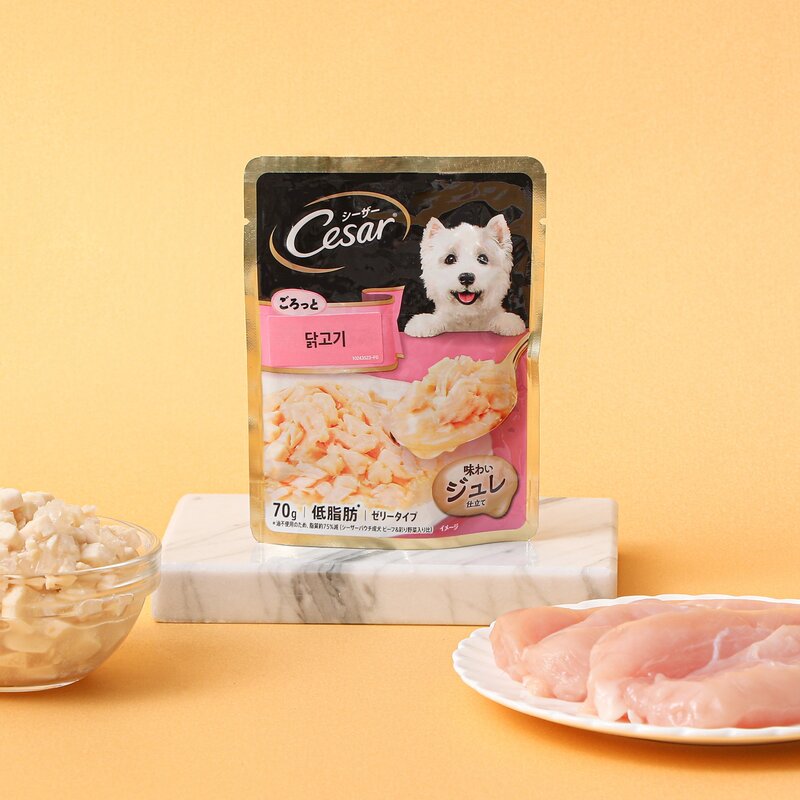 시저 강아지 주식파우치 닭고기, 닭, 70g, 16개