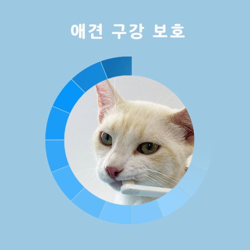 디스이즈마이펫 반려동물 소프트 칫솔 3종세트, 1개, 혼합