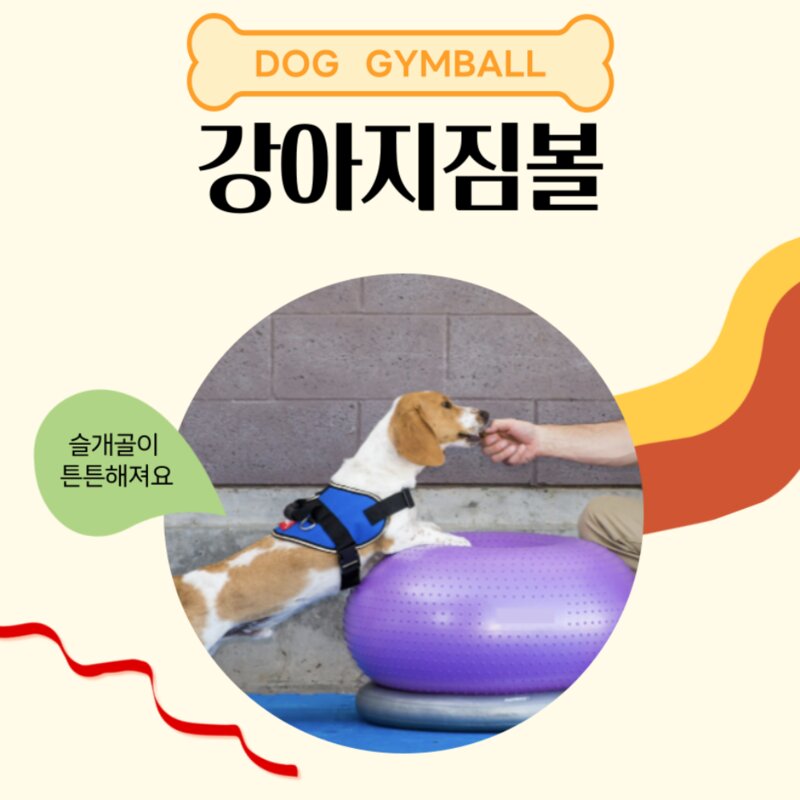 강아지짐볼 도넛 밸런스볼 슬개골탈구예방, 1개, 퍼플