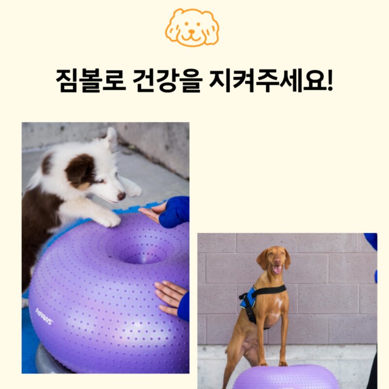 강아지짐볼 도넛 밸런스볼 슬개골탈구예방, 1개, 퍼플