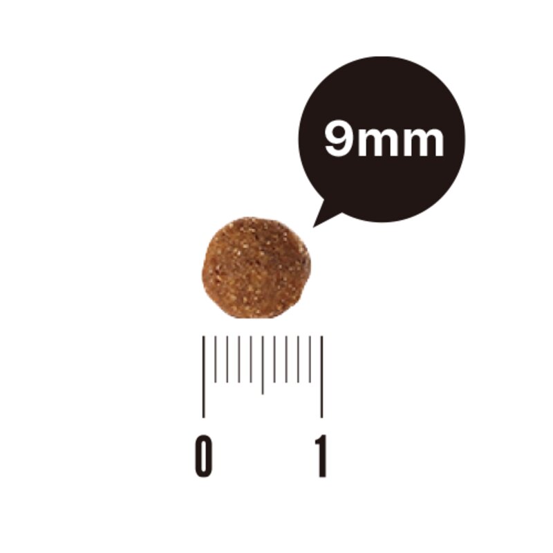 유한양행 레시피브이 강아지 처방식 사료, 1.2kg, 1개