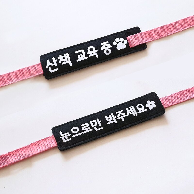 강아지 펫티켓 리드줄 산책 메세지택 애견 산책 인식표 와펜 네임택 [앞뒤 양면 제작], 4.주황, 9.초록, 1개