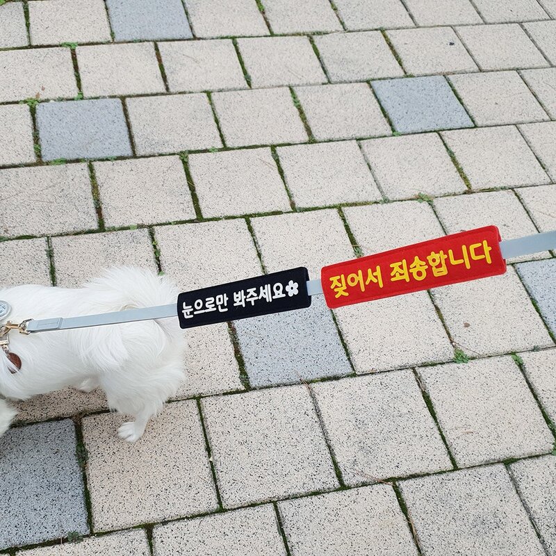 강아지 펫티켓 리드줄 산책 메세지택 애견 산책 인식표 와펜 네임택 [앞뒤 양면 제작], 4.주황, 9.초록, 1개