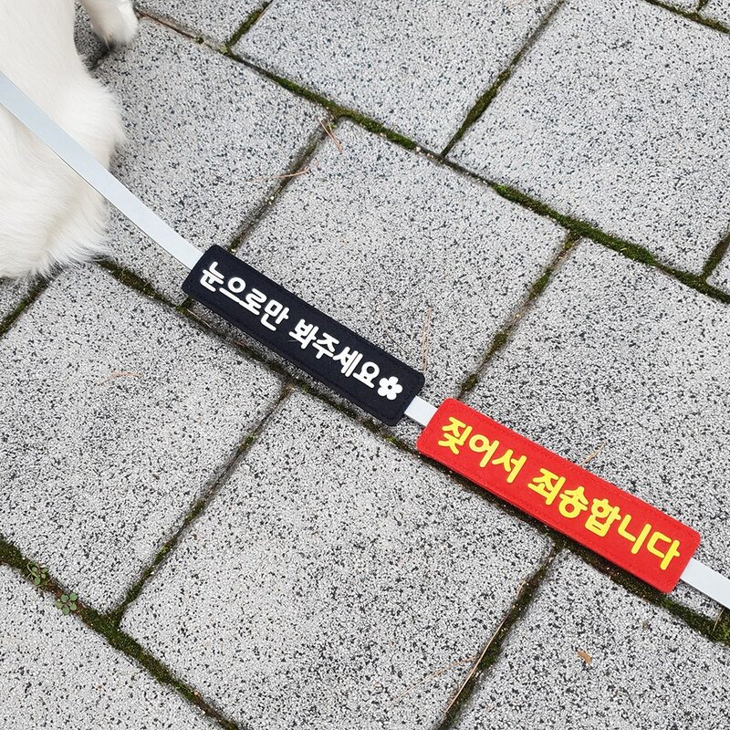 강아지 펫티켓 리드줄 산책 메세지택 애견 산책 인식표 와펜 네임택 [앞뒤 양면 제작], 4.주황, 9.초록, 1개