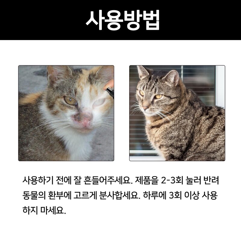 반려동물 고양이 개피부병 링웜 곰팡이성피부염 농피증 고양이강아지습진스프레이, 1개, 30ml