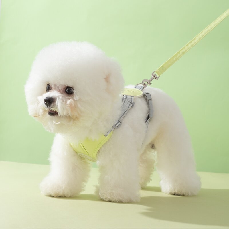 마이쥬리 X형 하네스 가슴줄, 민트, 1개