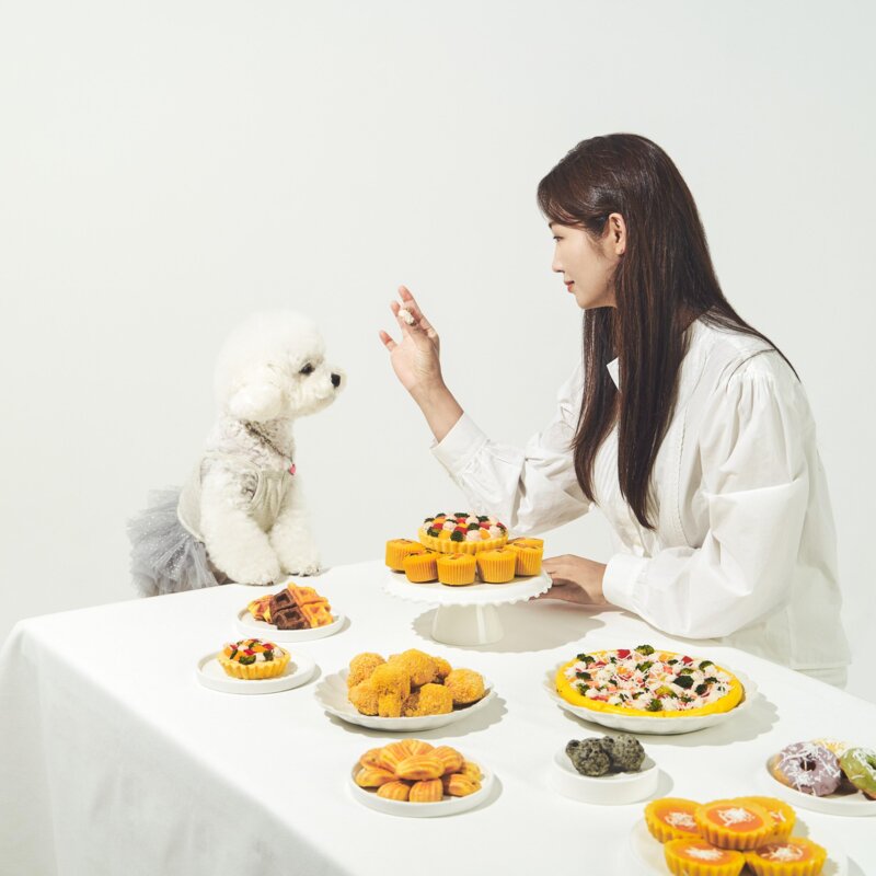 까까묵자 닭가슴살 테린 강아지 수제간식 10P 700g, 10개, 70g