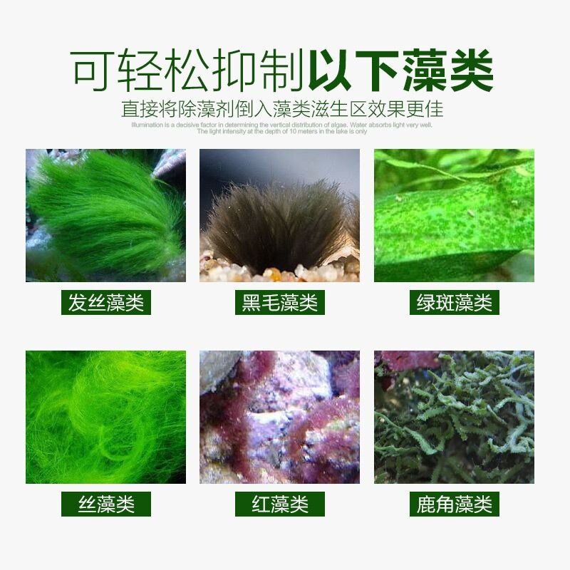 이끼제거제 어항이끼제거 수족관 배수관청소 수질개선 기름제거제 이끼, A, 1개