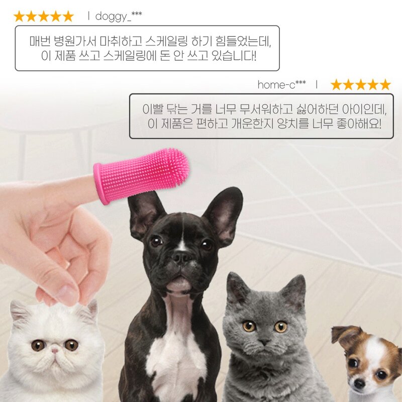 나인밸리 강아지 고양이 칫솔 4색구성 케이스포함, 4개