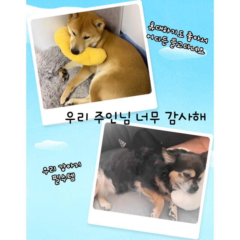 고양이 강아지 떡실신 휴대 작은 베개 애완용 잠 쿠션 U자형 베개 소프트 담요 매트 침구, 스카이, 1개