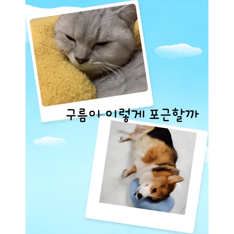 고양이 강아지 떡실신 휴대 작은 베개 애완용 잠 쿠션 U자형 베개 소프트 담요 매트 침구, 스카이, 1개