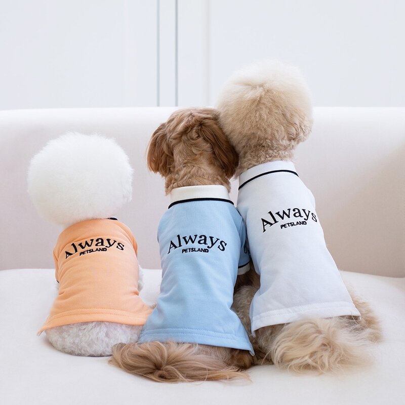 펫츠랜드 강아지 올웨이즈 카라 티셔츠, 화이트, 1개