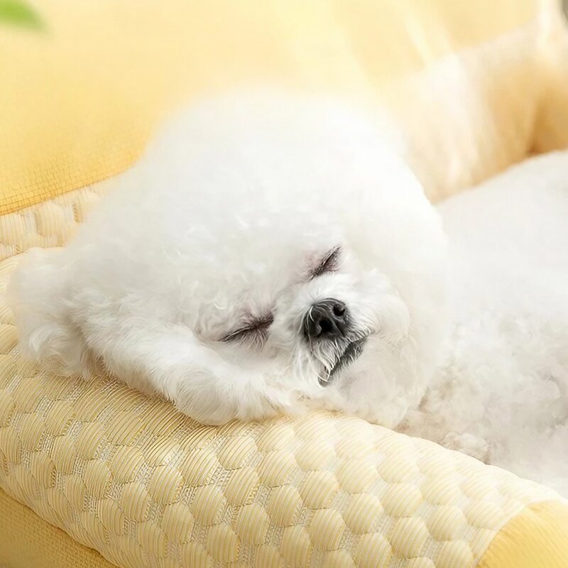 일상드림 강아지 고양이 쿨매트 대형 방석, 블루, 1개