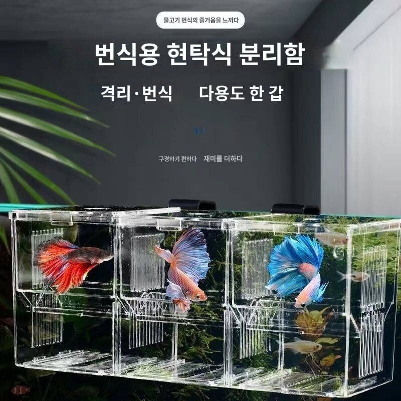 치어 부화통 어항 분리함 번식함 어미 아크릴 치어 봉미 산란함 번식 분리함, 독립 부화함 투어함(항아리 밖 독립 사용), 1개