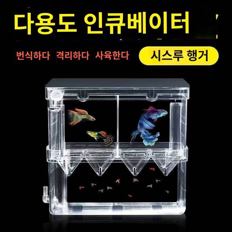 치어 부화통 어항 분리함 번식함 어미 아크릴 치어 봉미 산란함 번식 분리함, 독립 부화함 투어함(항아리 밖 독립 사용), 1개