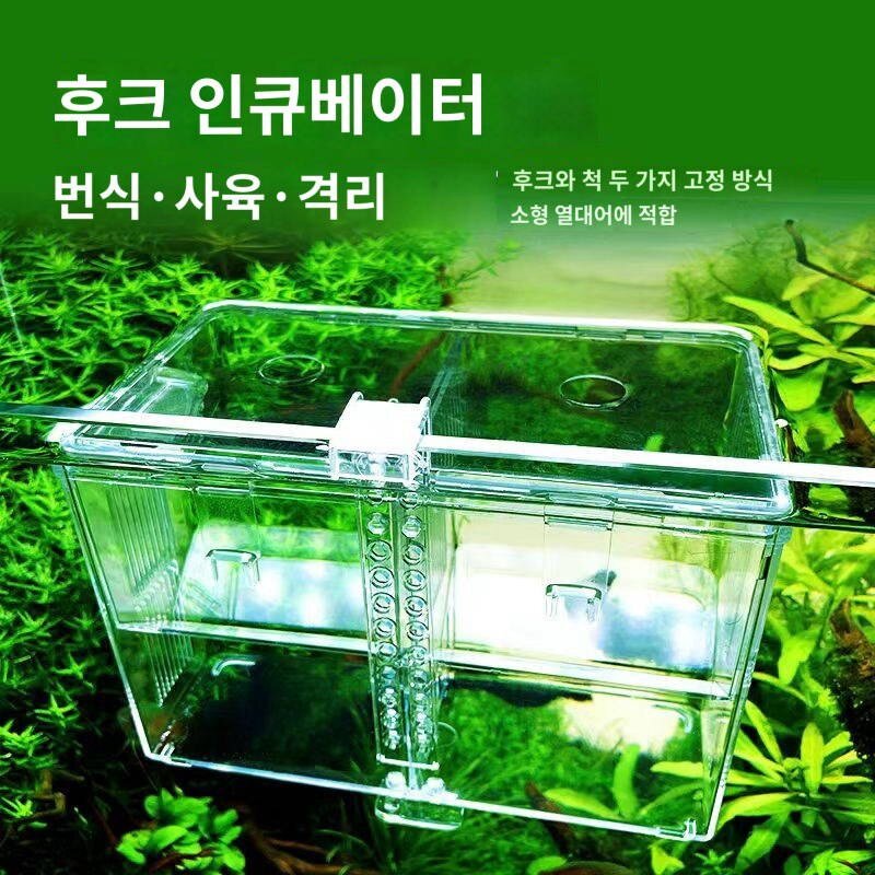 치어 부화통 어항 분리함 번식함 어미 아크릴 치어 봉미 산란함 번식 분리함, 독립 부화함 투어함(항아리 밖 독립 사용), 1개