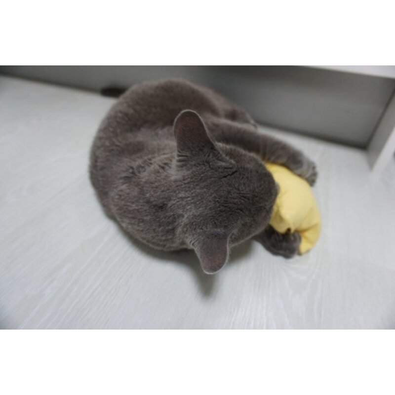 미니프린 마따따비 고양이 인형, 1개, 그린