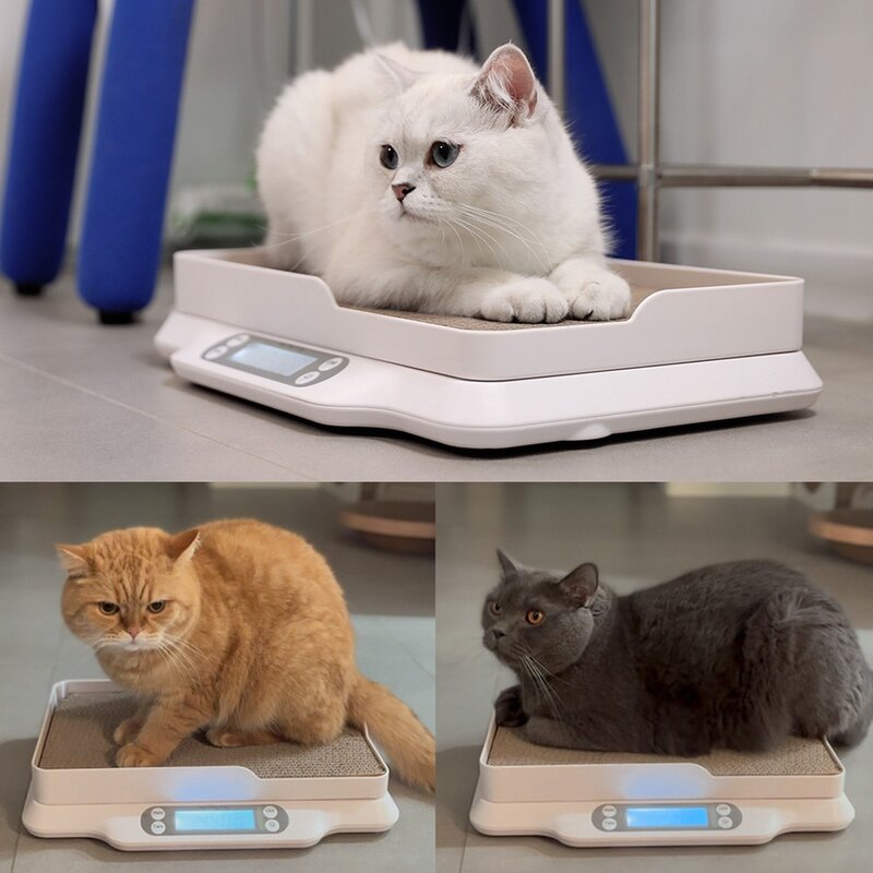 고양이 장난감 스크래쳐 체중계 몸무게 묘키로, 리필형 스크래쳐, 1개