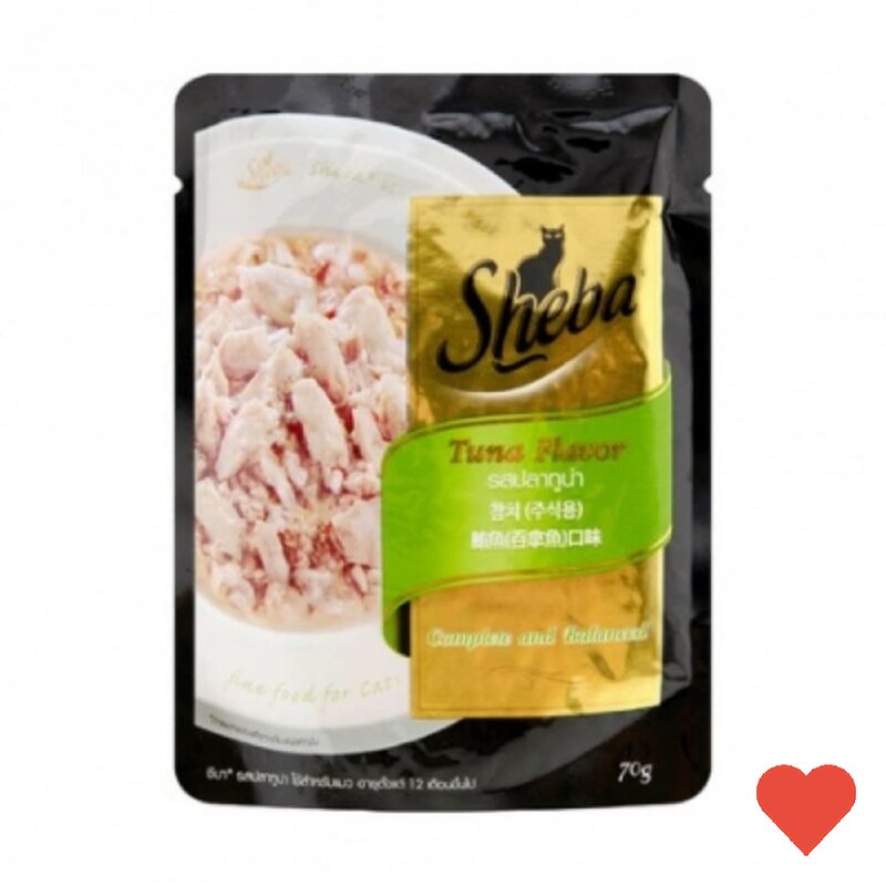 애견 식품 참치 파우치 70g, 1개