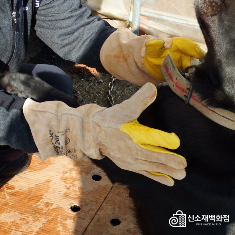 핸드맥스 헤스티아 물림방지 장갑 고양이 개 반려동물 핸들링 글러브 할큄 입질 훈련사, 1개