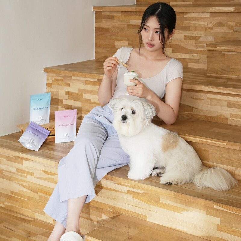 하이루디 강아지 그릭요거트 동결건조 유산균 간식, 1개, 40g, 블루베리