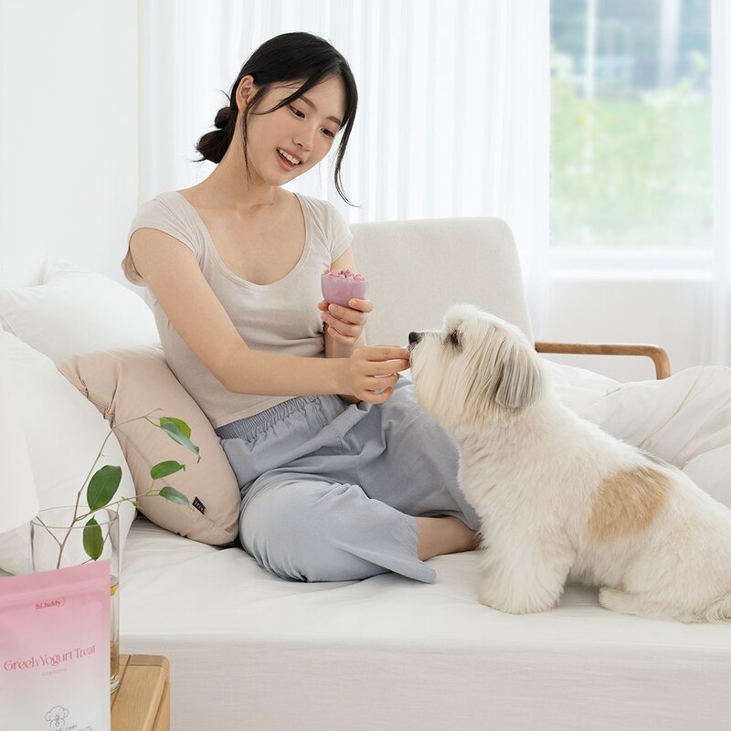 하이루디 강아지 그릭요거트 동결건조 유산균 간식, 1개, 40g, 블루베리