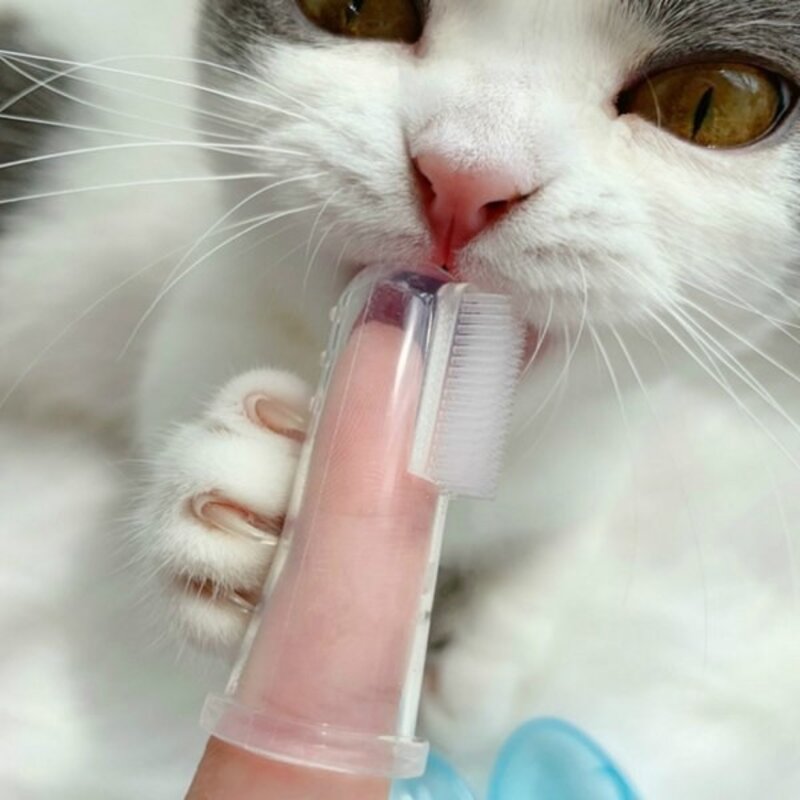 강아지 고양이 손가락 칫솔-반려견 구강 위생 용품