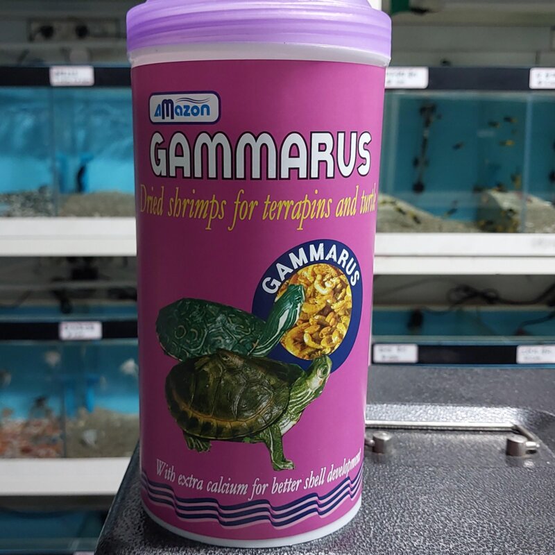 아마존 감마루스, 1개, 1L