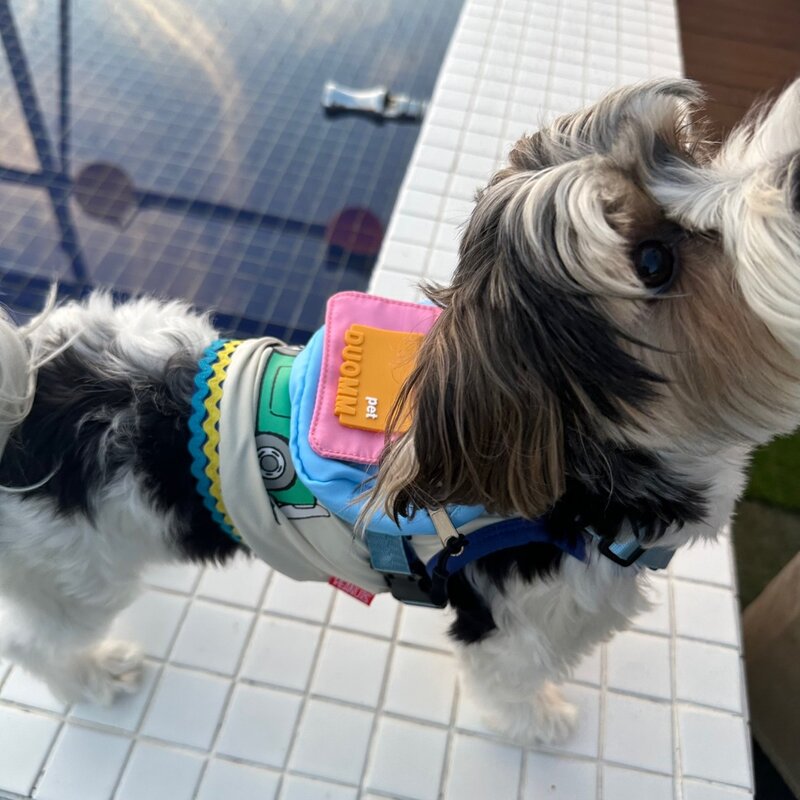 댕쑥냥쑥 PET 강아지 가방 하네스 산책 유치원 가방 리드줄, 1개, 하늘색