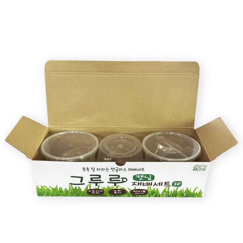 힐링타임 고양이 그루루 재배세트, 귀리, 1세트