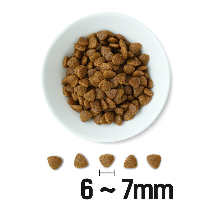 ANF 전연령 독 식스프리 플러스 옐로우 건식사료, 오리고기+연어, 1.8kg, 1개