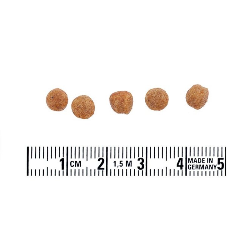 이즈칸 전연령 알러지 프리 강아지 기능성 사료, 알러지 예방, 2.1kg, 1개