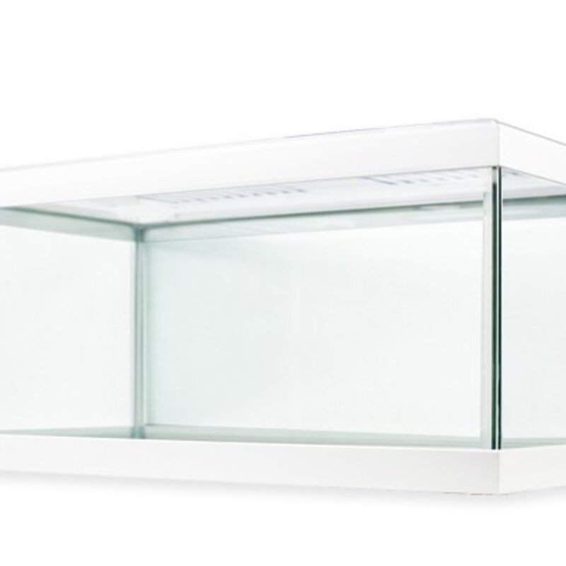 모비딕 50슬림 모던 어항 + 뚜껑, White, 1세트