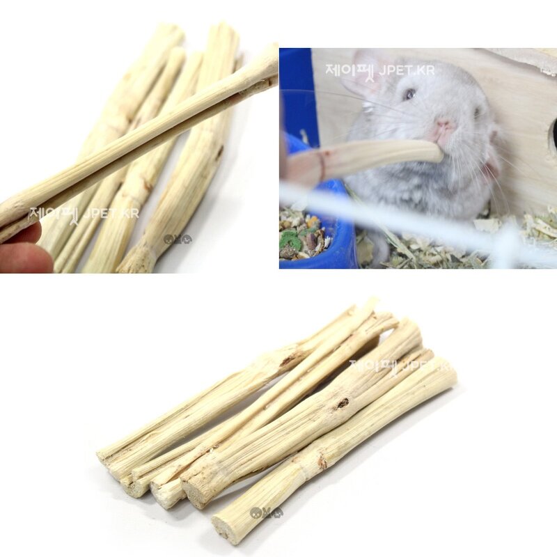 제이펫 건조 사탕수수 이갈이 스틱 20g 50g 100g 500g 토끼이갈이 햄스터 이갈이 Spet 각종사은품이 수두룩~~!, 1개