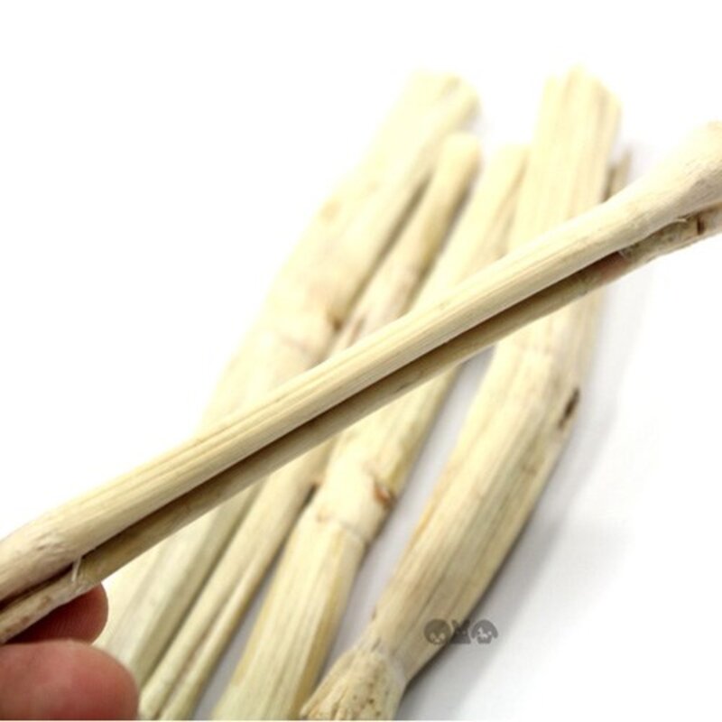제이펫 건조 사탕수수 이갈이 스틱 20g 50g 100g 500g 토끼이갈이 햄스터 이갈이 Spet 각종사은품이 수두룩~~!, 1개