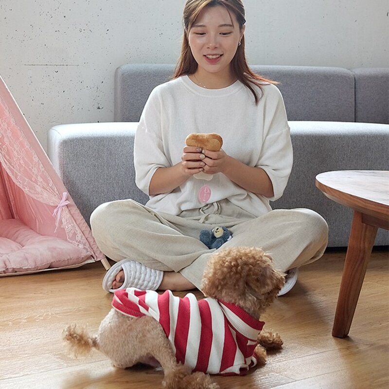 애견장난감 강아지애착인형 삑삑이 바스락 이갈이 장난감 12종, 01.도너츠, 1개
