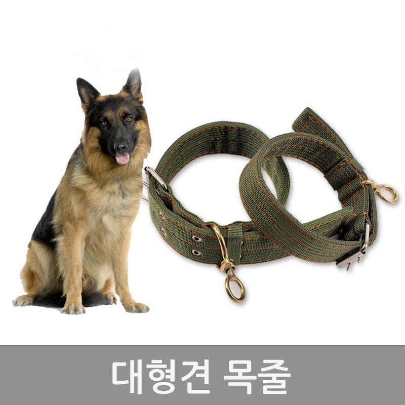 대형견 튼튼한 목줄 리드줄 애견목줄, 1개