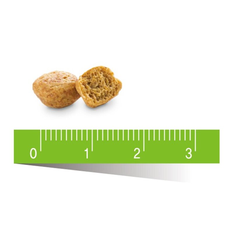 퓨리나덴탈라이프 캣 트릿 고양이 간식, 연어, 51g, 10개