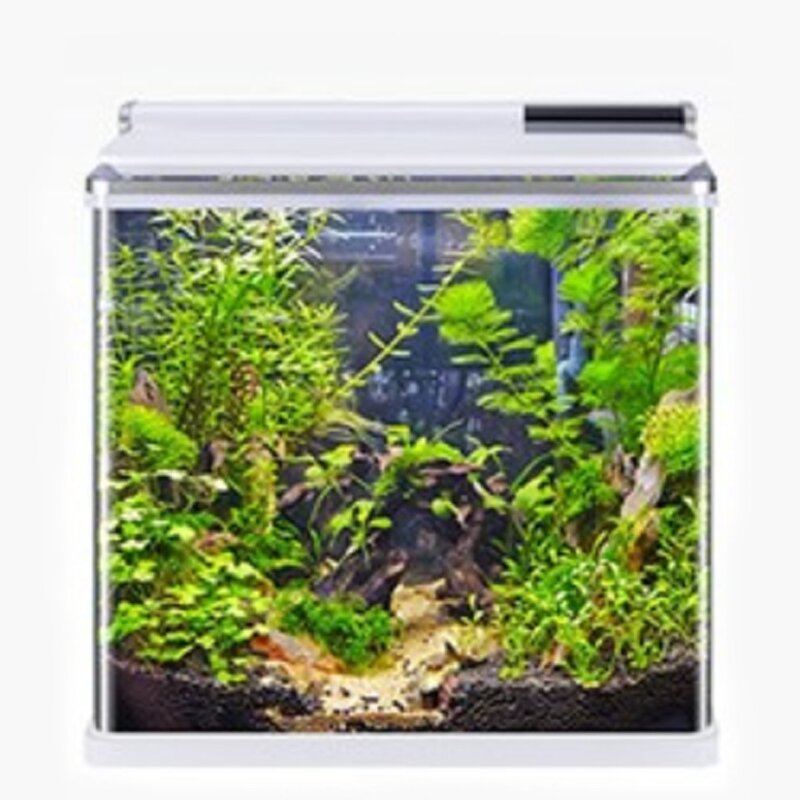 아마존 곡유리 아쿠아리움 수조 AMZ-630F, 화이트, 1개