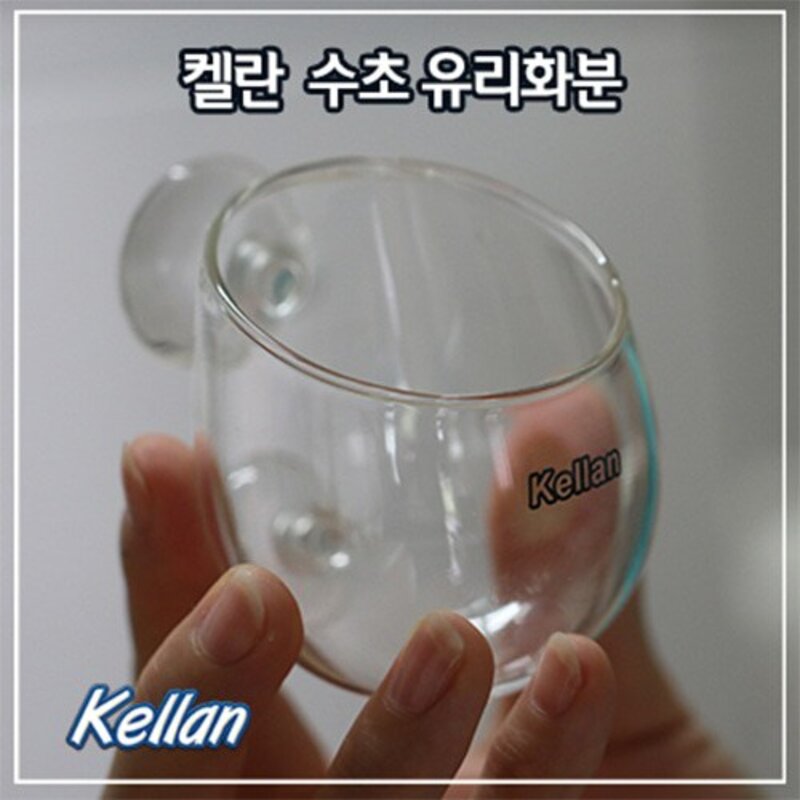 켈란 수초 유리 화분 K028 유리화분, 1개