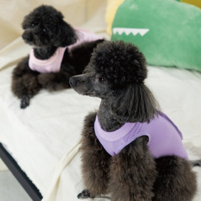 난펫 강아지 고양이 환묘복 환견복 중성화복, 퍼플, 1개