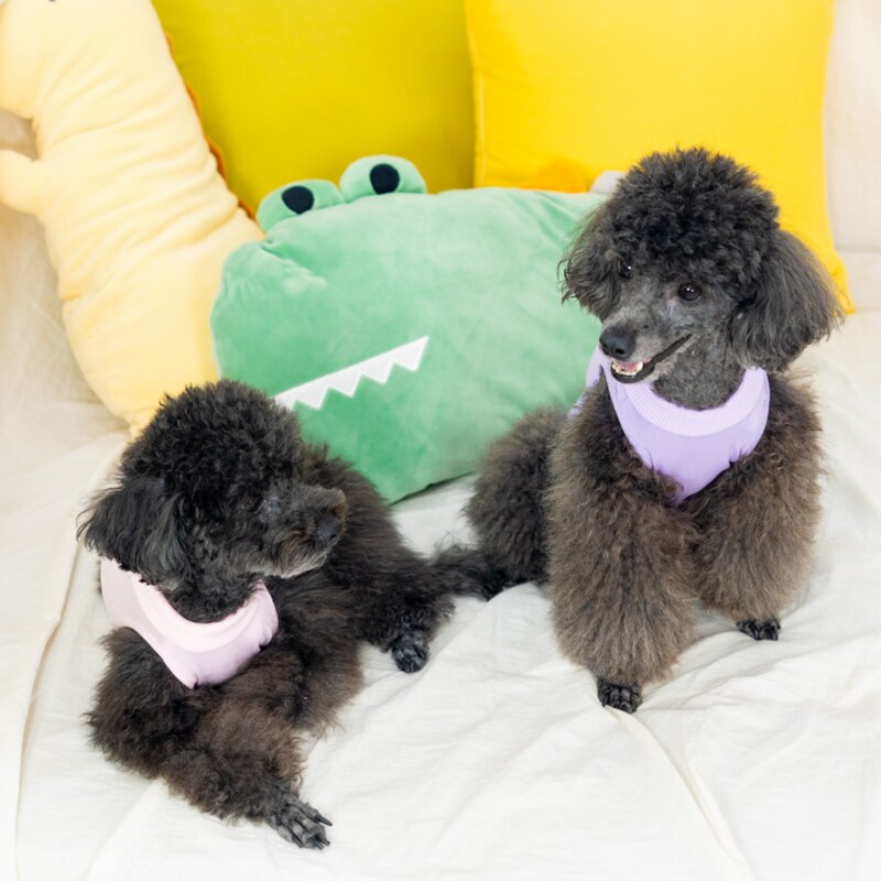 난펫 강아지 고양이 환묘복 환견복 중성화복, 퍼플, 1개