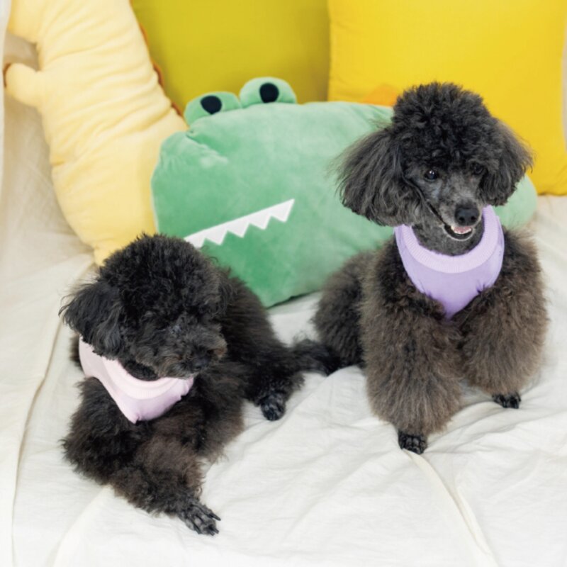 난펫 강아지 고양이 환묘복 환견복 중성화복, 퍼플, 1개